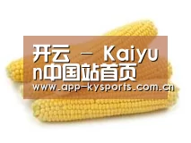 产品名称五