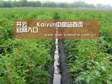 种植基地三