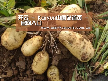 种植基地六