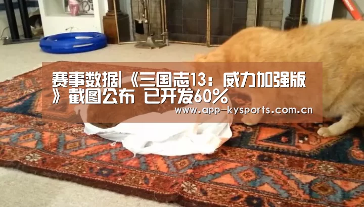 赛事数据|《三国志13:威力加强版》截图公布 已开发60%(图1) 赛事数据