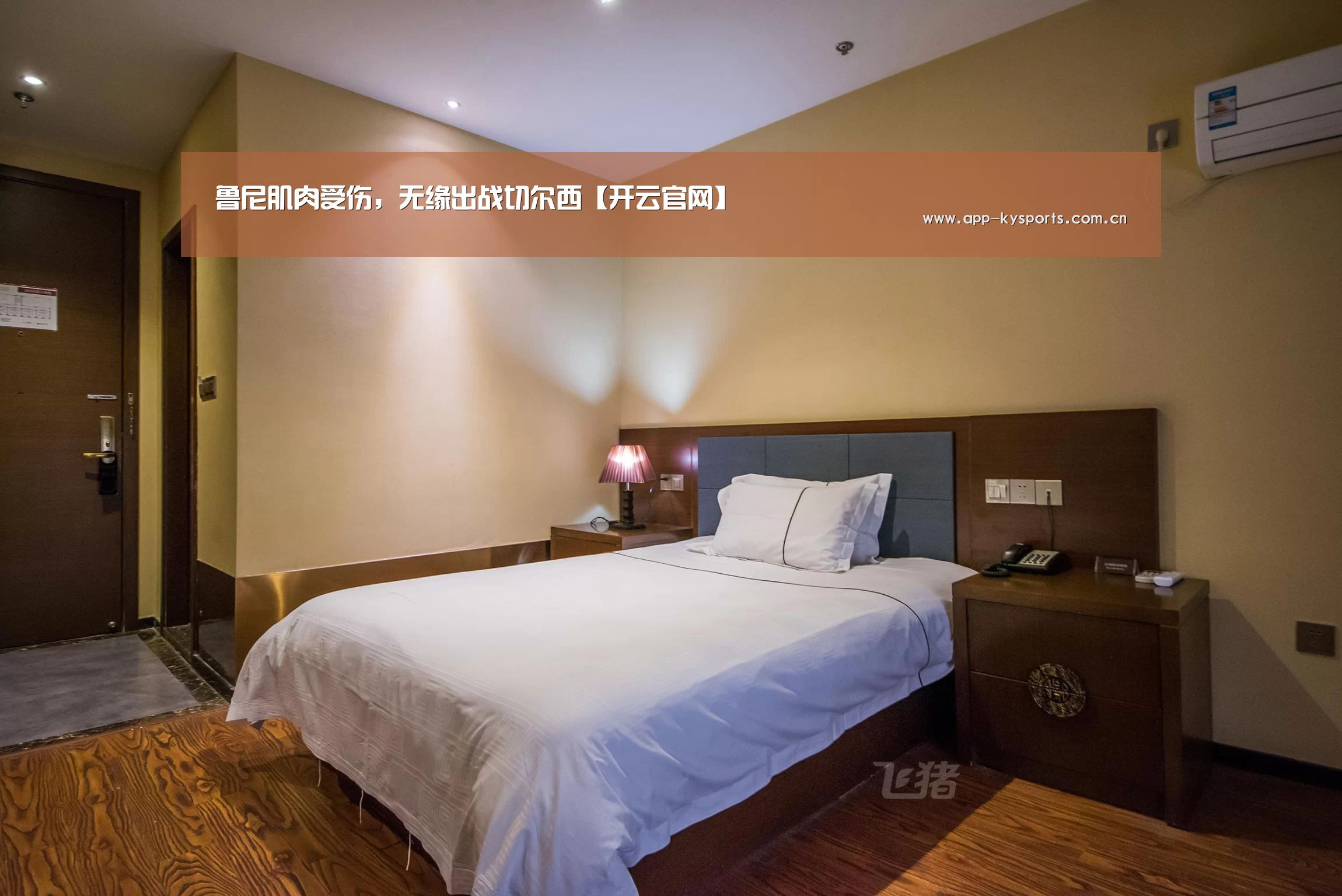 鲁尼肌肉受伤,无缘出战切尔西【开云官网】(图2) 赛事数据